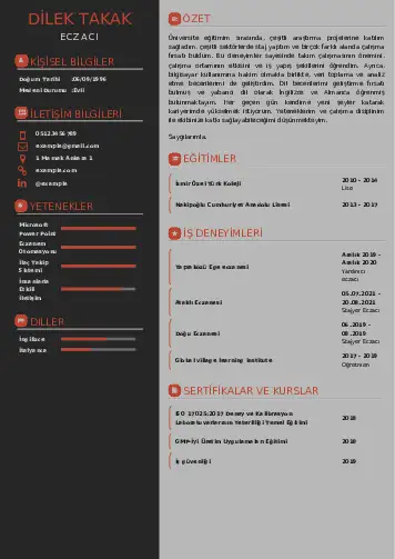 Eczacı CV Örnekleri cv indir